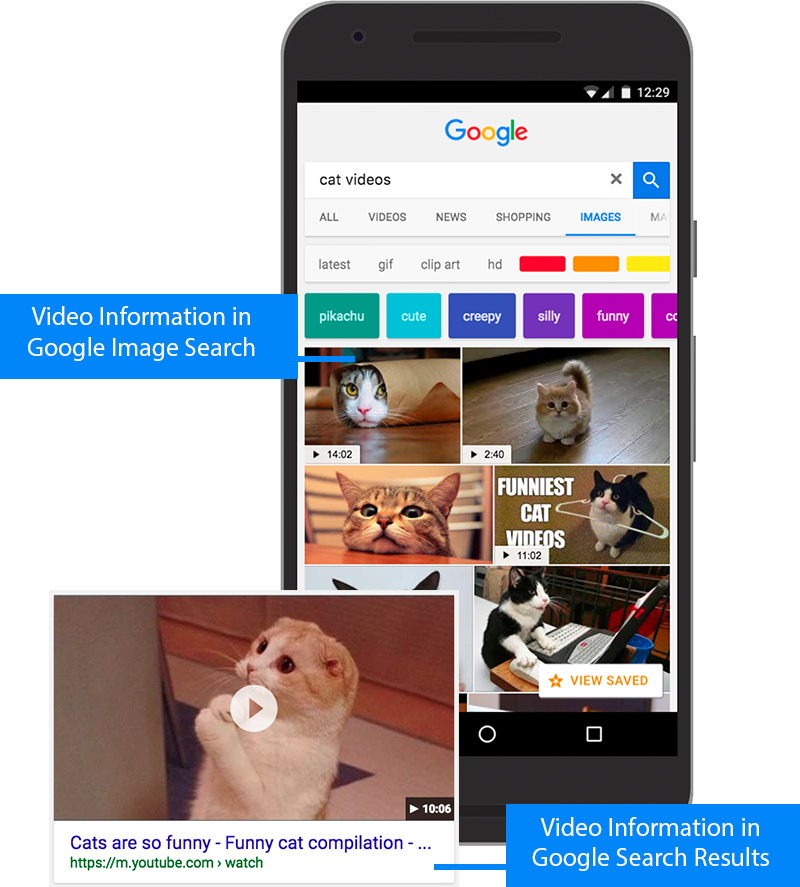 image search shows video results